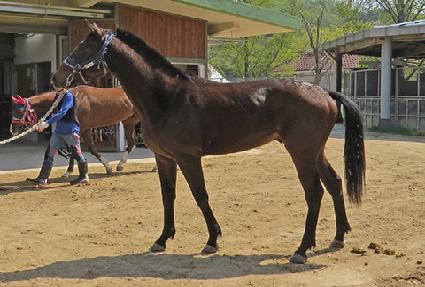 ������Ʈ ����