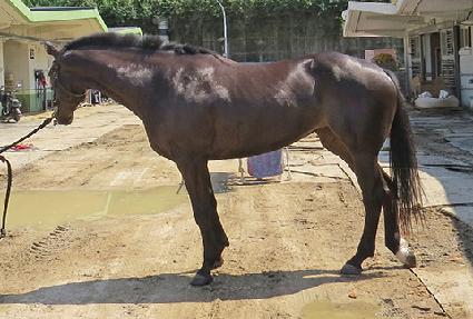 �����Ƹ��� ����