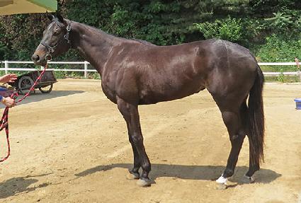 ���������� ����