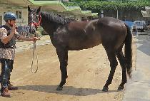 �۷θ����� (GLORY K) ����