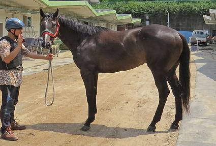 �۷θ����� ����