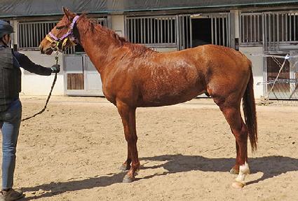 ����Ŭ���� ����