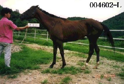 �й�� ����