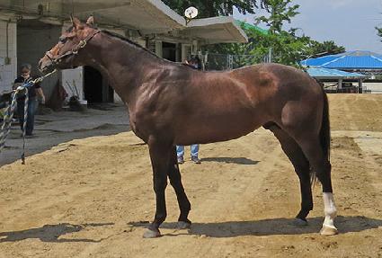 ũ���ָ����� ����