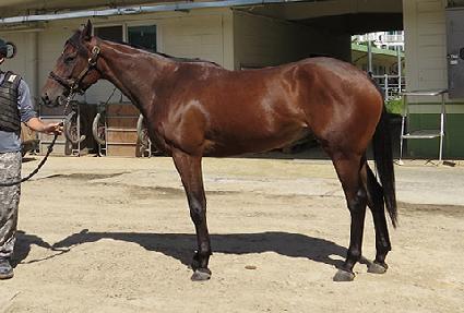 ũ���ֽ����� ����