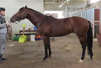 ũ���ֻ�� ����