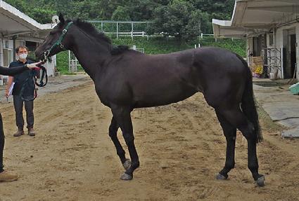 ������ ����