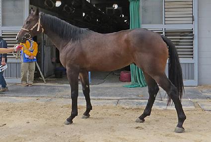 ���ø�Ʈ���� ����