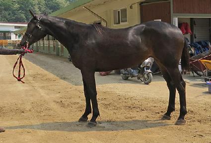 ���쵵�ٻ� ����