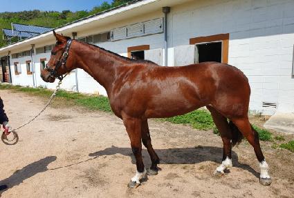 �帲������ ����