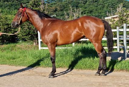 �´������� ����