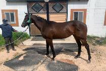 HELLO SUNSHINE picture