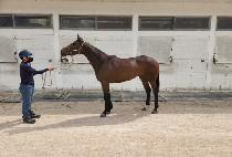 ��ťƮ�� (TOO CUTE GIRL) ����