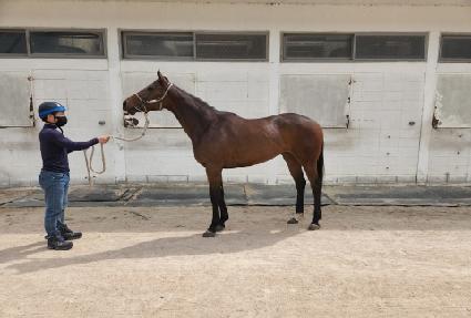 ��ťƮ�� ����