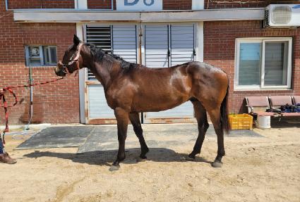 �۽�Ʈ�ڸ��� ����