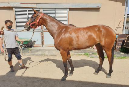 �Ű� ����