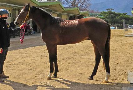 ����Ʈ������ ����