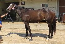 ��ġŬ���� (ARCH CLASS) ����