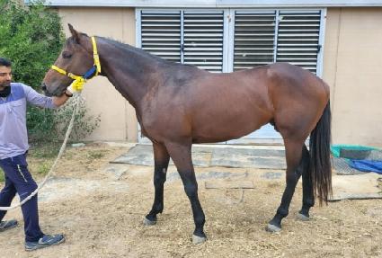 �Ծ�û�� ����