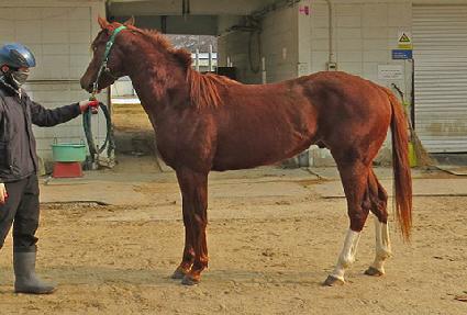 �ǿ��������� ����