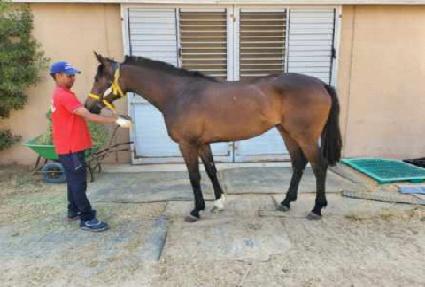 �����̴��� ����