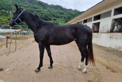 ��罺�ڶ� ����