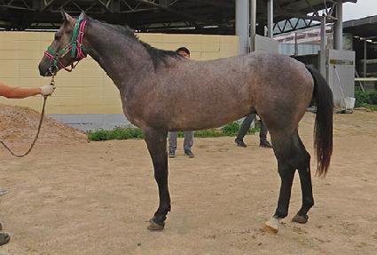 ���ϼ����� ����