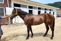 ���۽�Ʈ (RUN FIRST) ����