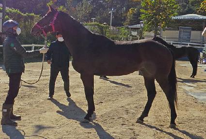 ������������ ����