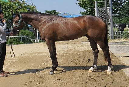 �����۷θ� ����