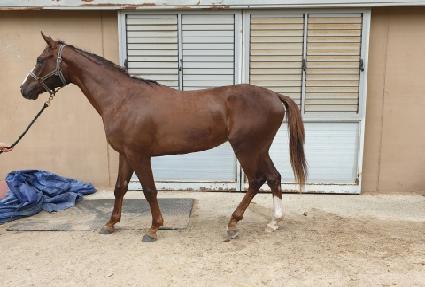 ââ��� ����