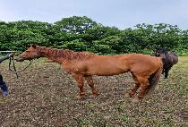 ���̻� (MAYSAK) ����