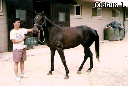 ���ӷ� ����