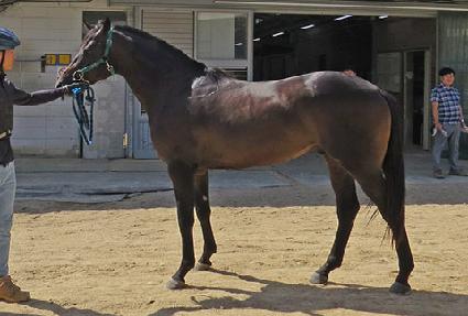 ��񼭿� ����