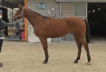 ������� (FORTUNE RULES) ����