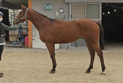 ������� ����