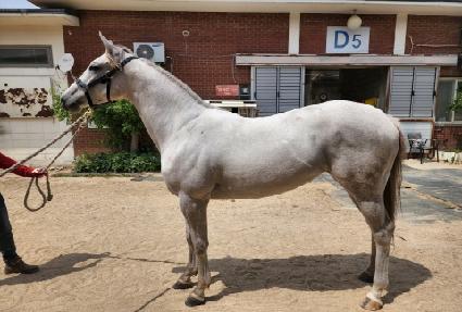 ���̾� ����