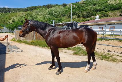 ���������� ����