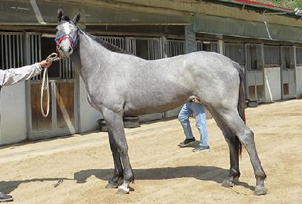 ���������Ʈ ����