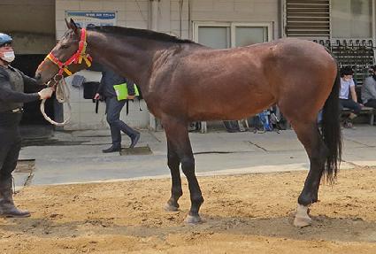 ��ƶ���� ����