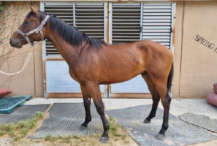 �����ں� ����