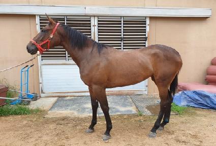 ���θ��� ����