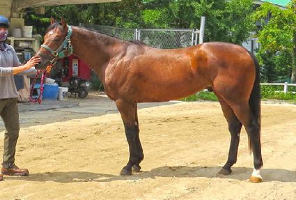 ����Ʈ�¾� ����