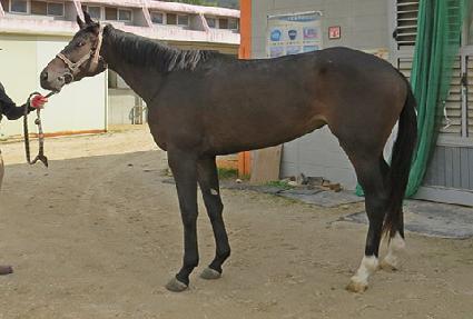 �Ǿ�� ����