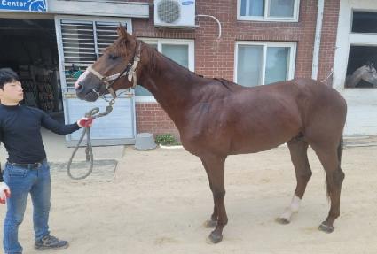 ������� ����