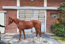 HAENGBOKHAN GIL picture