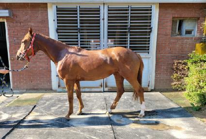 �Ŀ����ڽ� ����