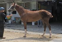 DAEWONGYEOLUI picture