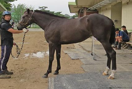 ������ ����