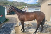 PEOPLE POWER picture